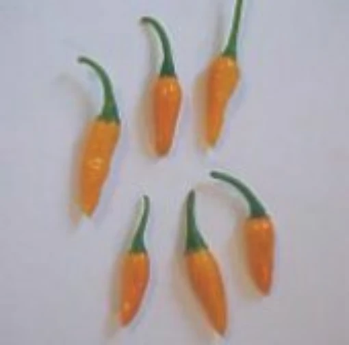 2130 Hot Peppers (Type 1) HP2147-20